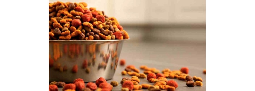 ✔ Animalnatura, la mejor solución para comprar piensos online